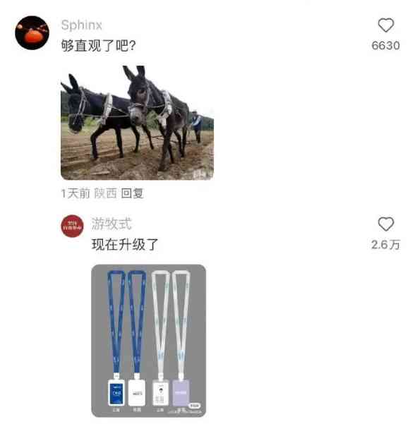 Word文档图片
