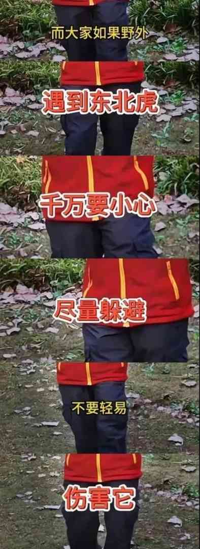 Word文档图片