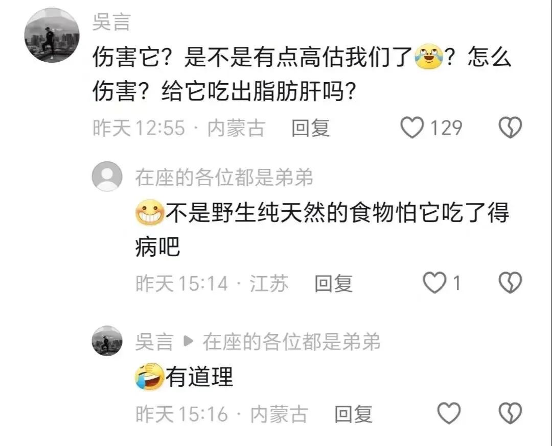 Word文档图片