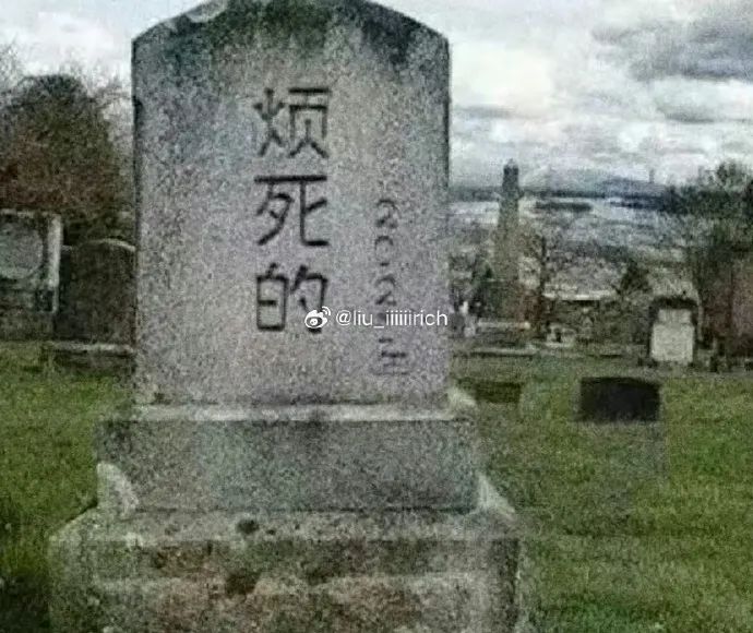 Word文档图片