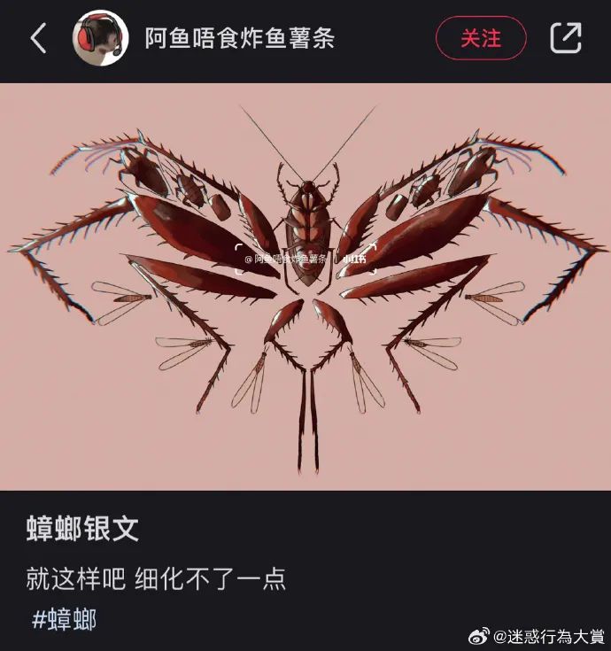 Word文档图片