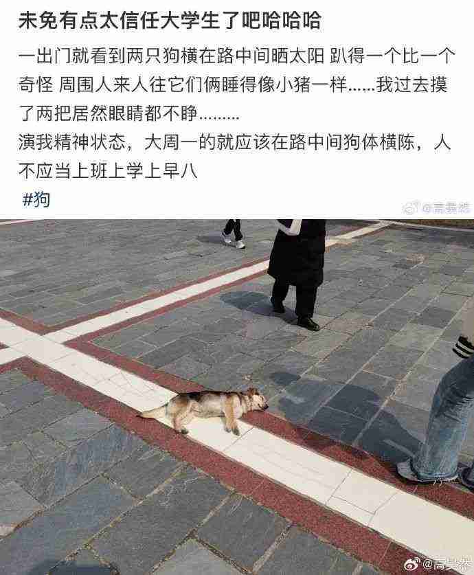 Word文档图片