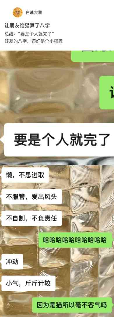 Word文档图片