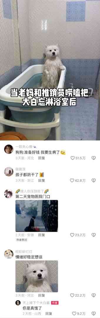 Word文档图片
