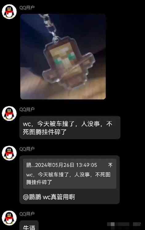 Word文档图片