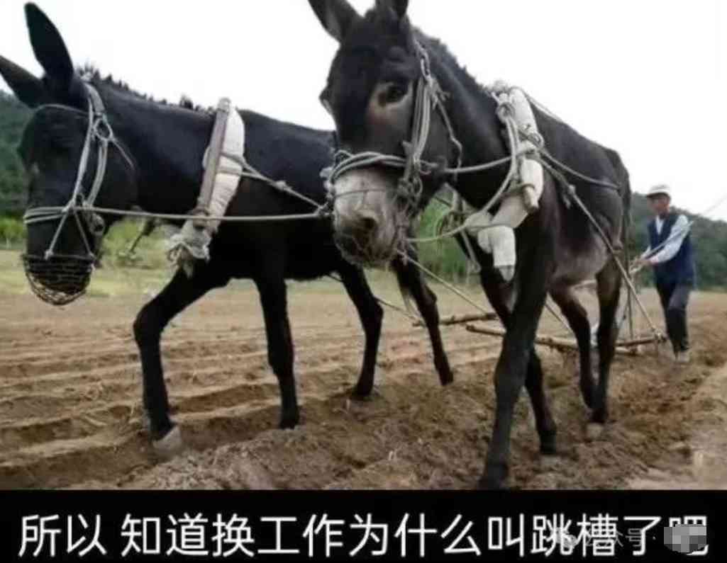 Word文档图片