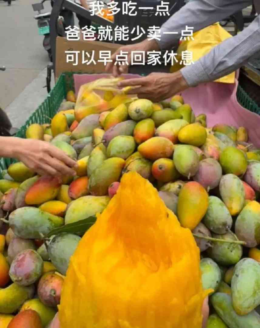 Word文档图片
