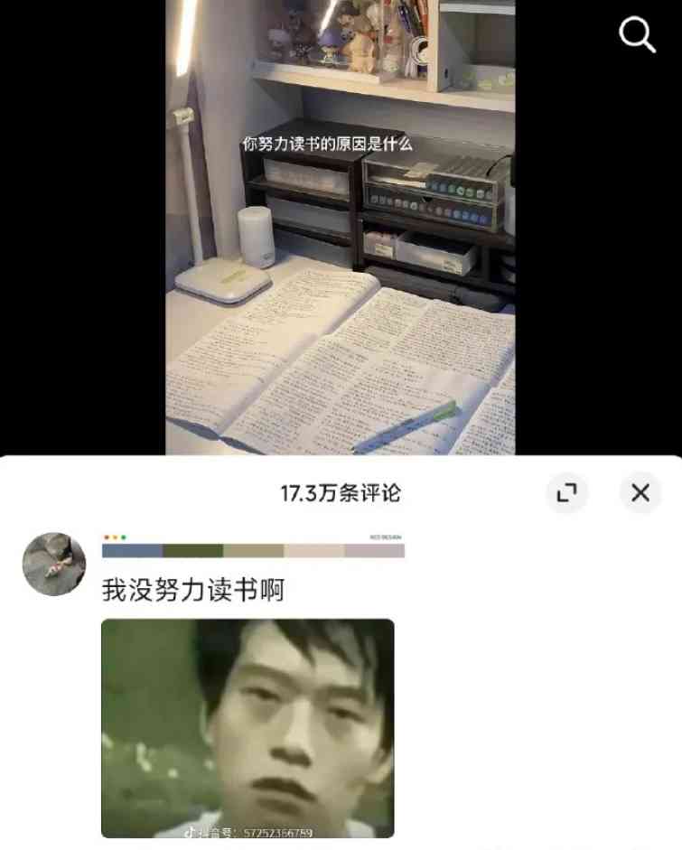Word文档图片