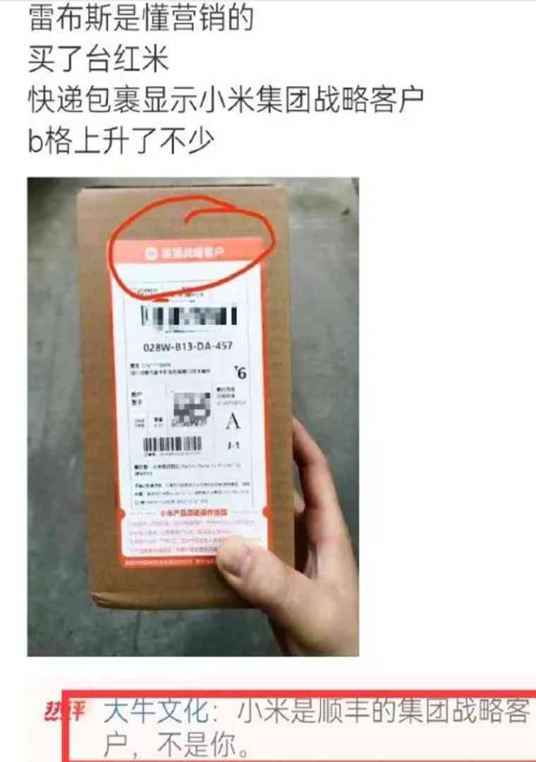Word文档图片