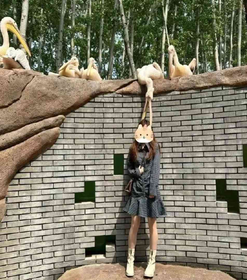 Word文档图片