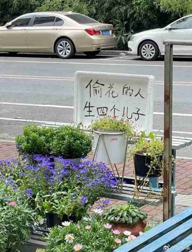 Word文档图片