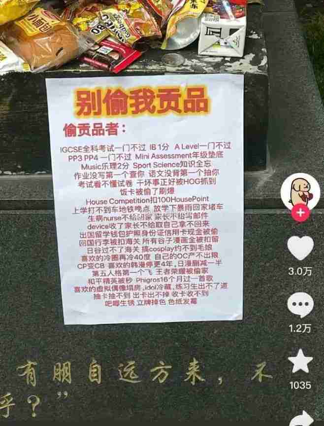 Word文档图片
