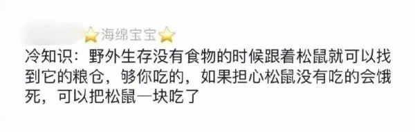 Word文档图片