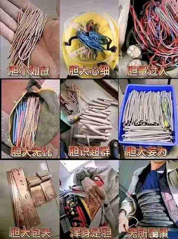 Word文档图片