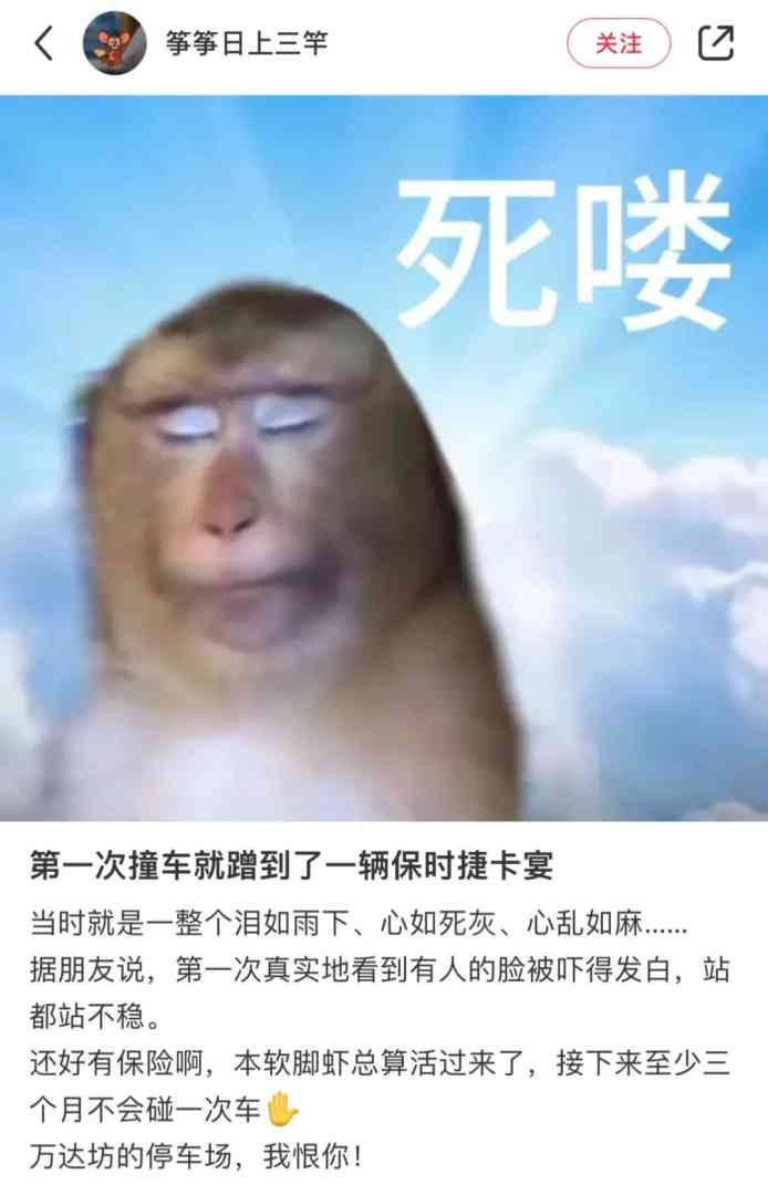 Word文档图片