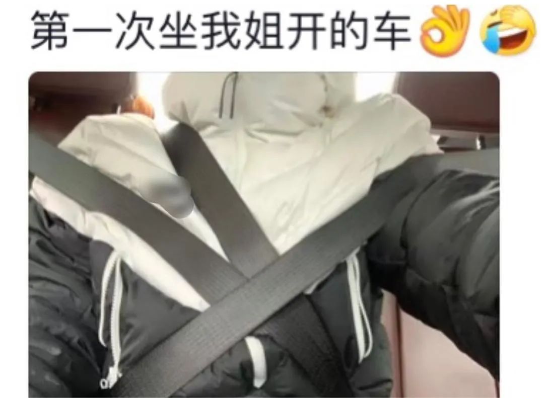Word文档图片
