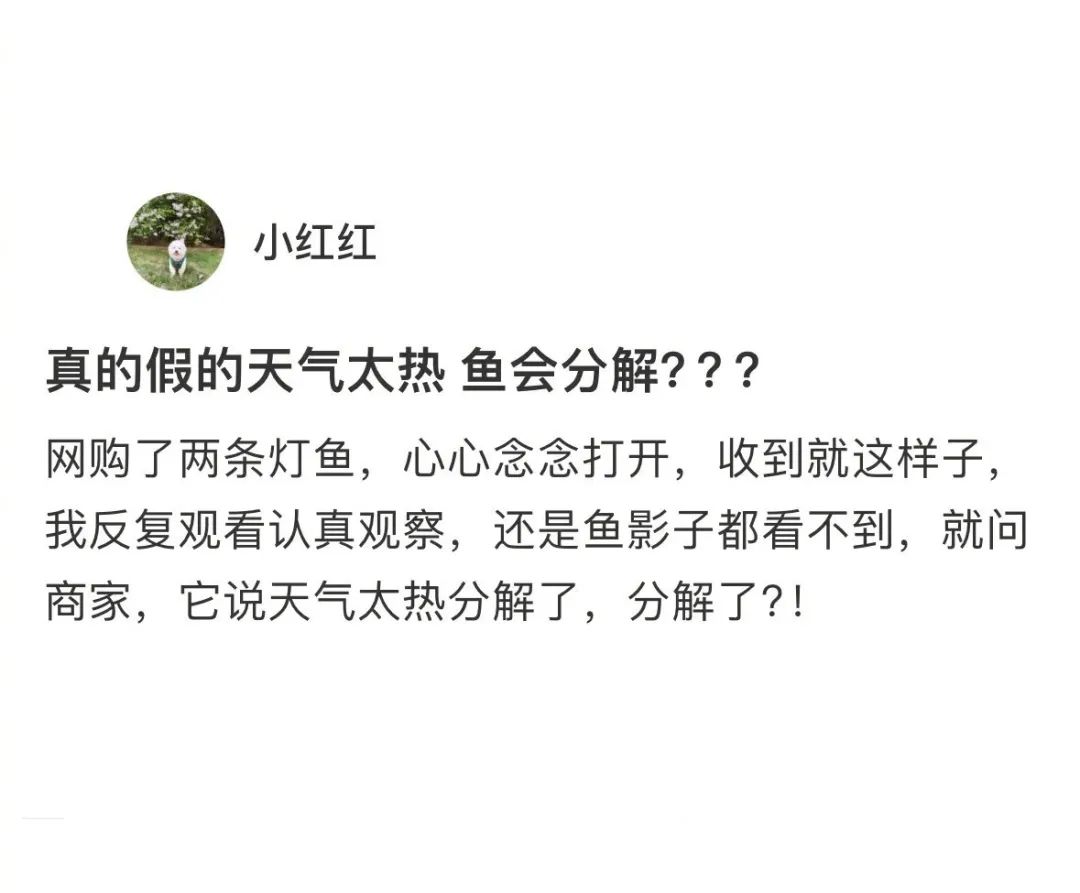 Word文档图片