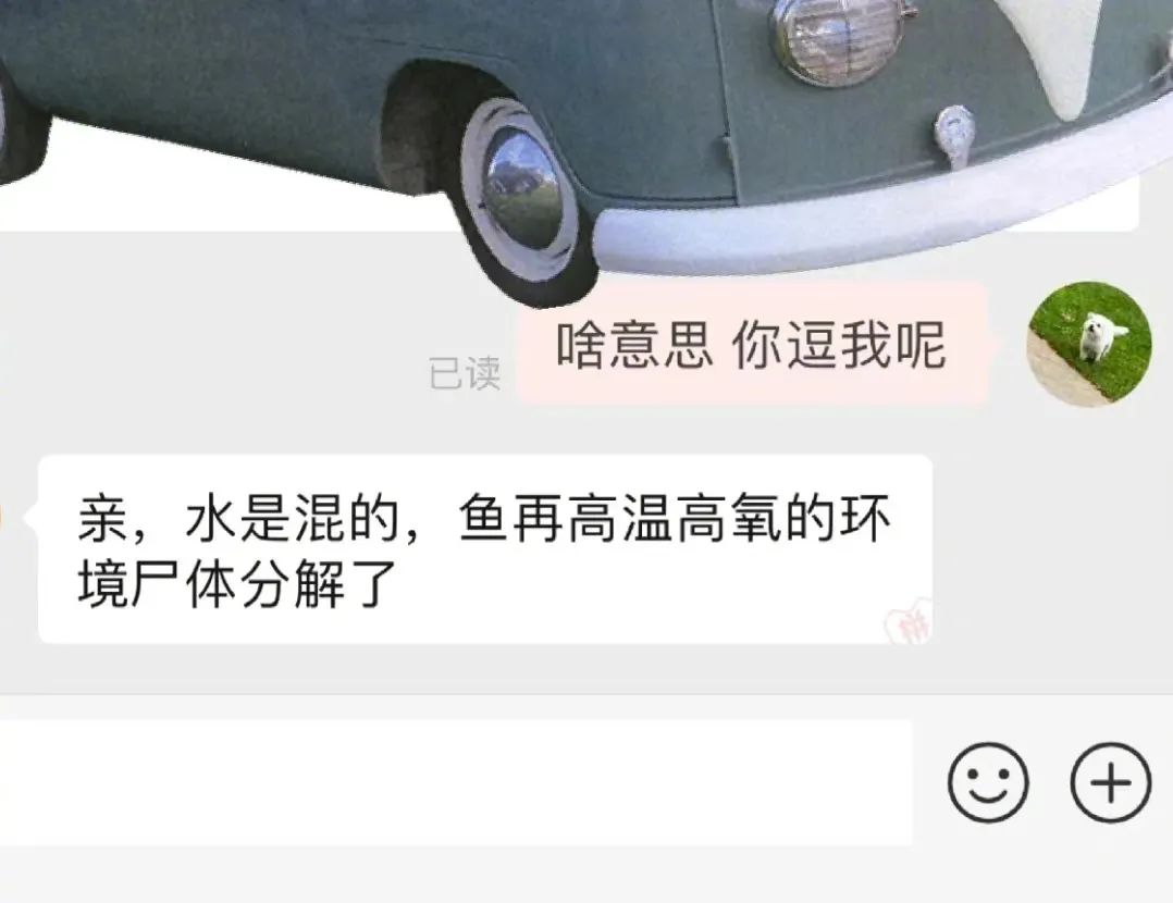 Word文档图片