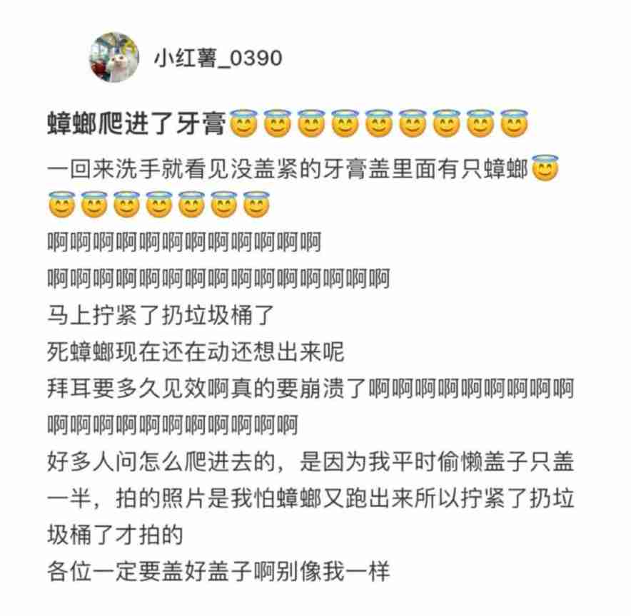 Word文档图片