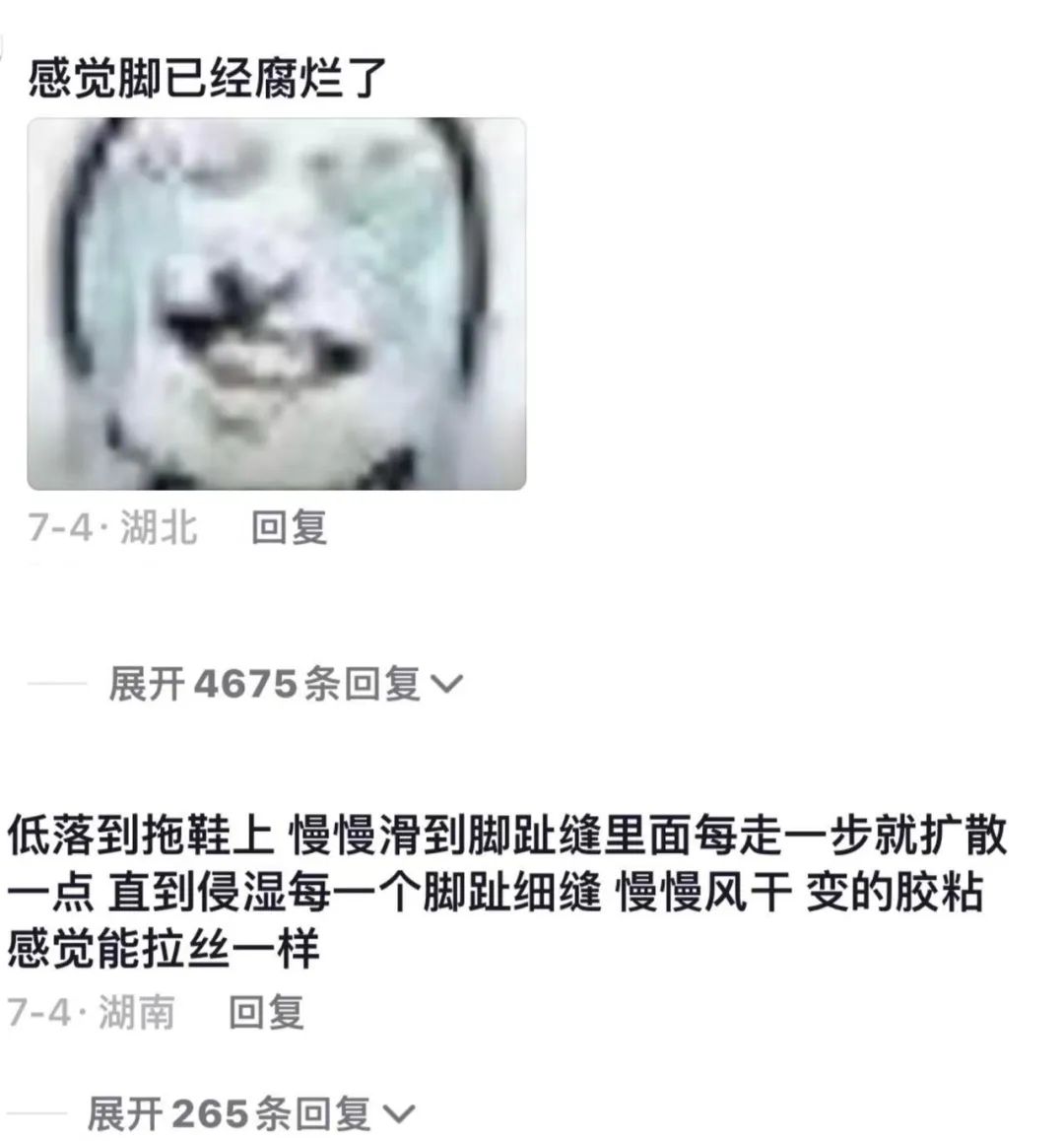Word文档图片