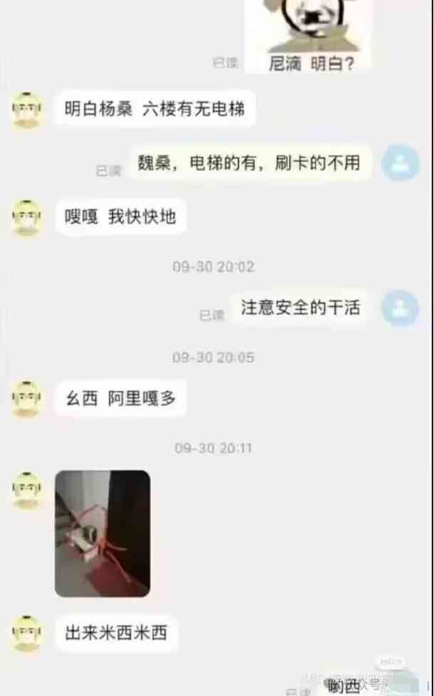 Word文档图片