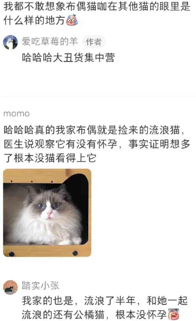 Word文档图片