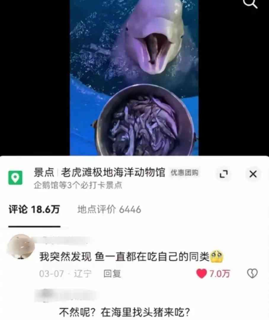 Word文档图片