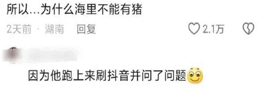 Word文档图片