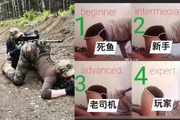 Word文档图片