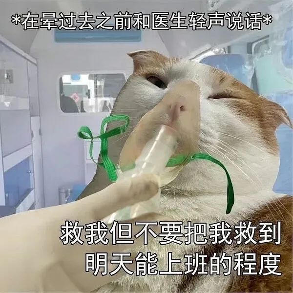 Word文档图片