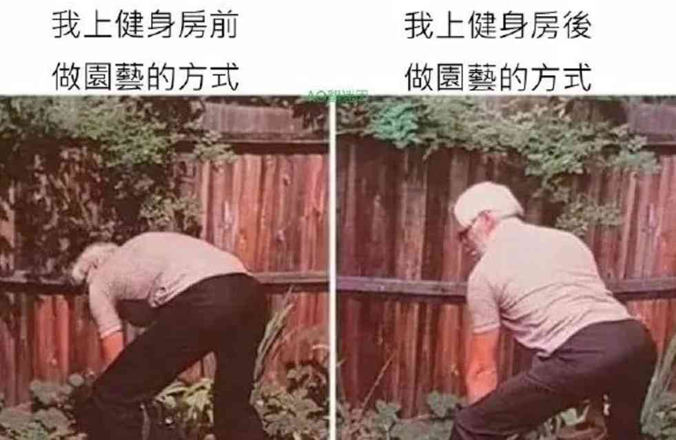 Word文档图片