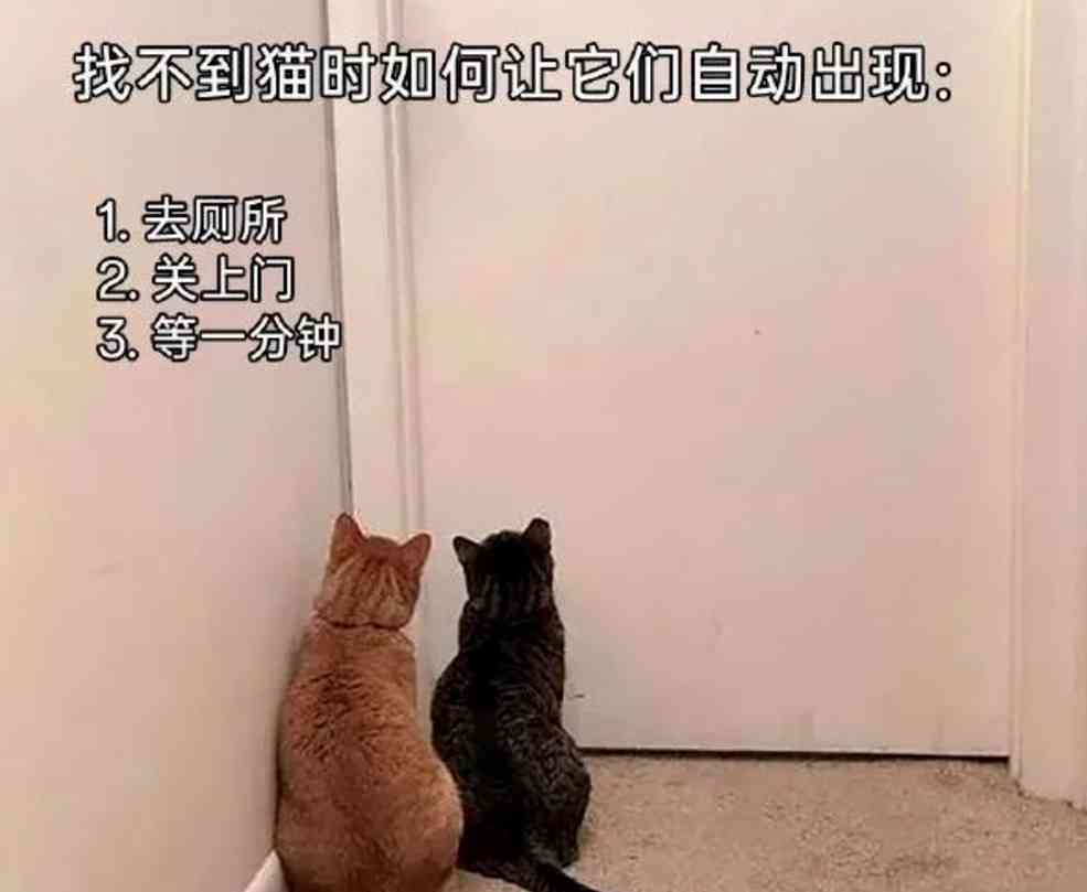 Word文档图片