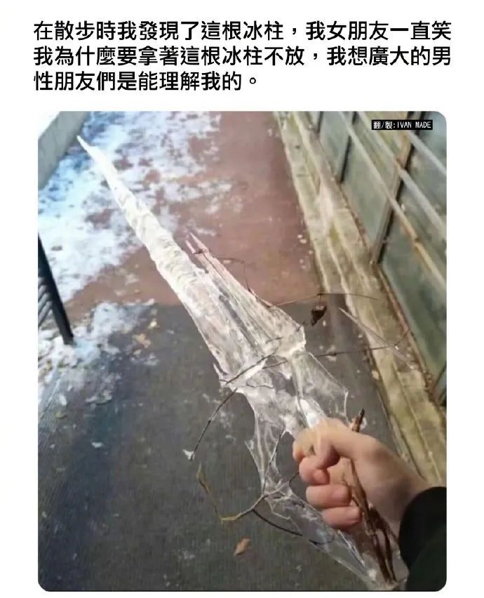 Word文档图片