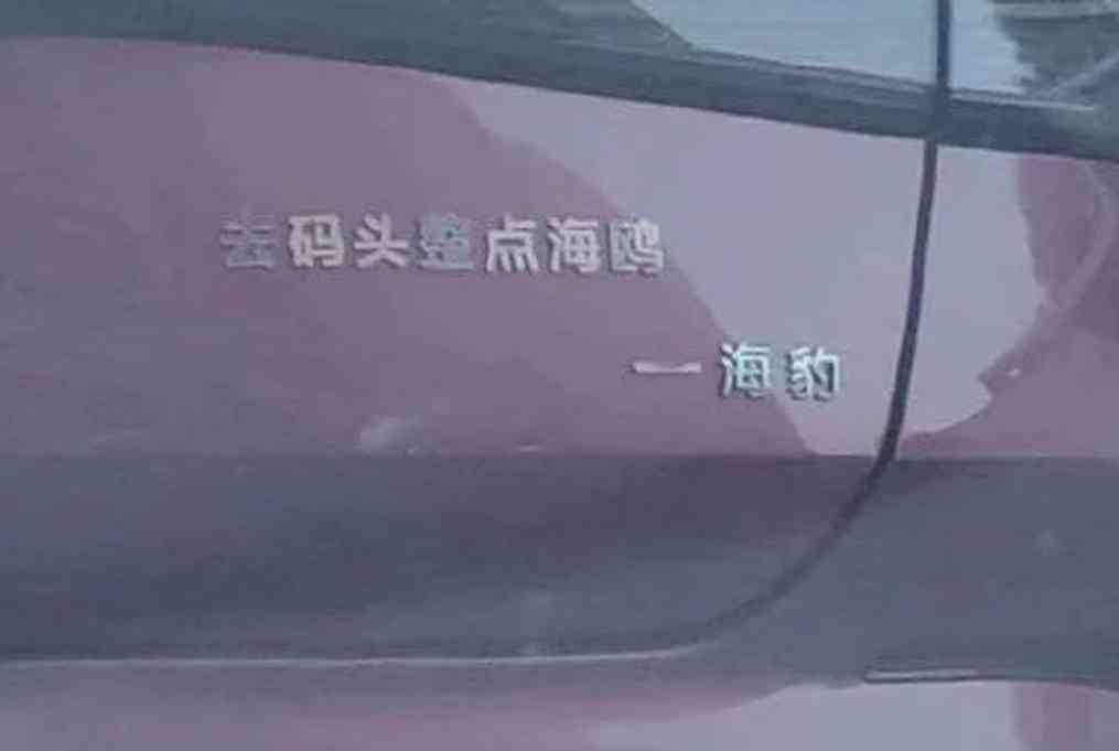 Word文档图片