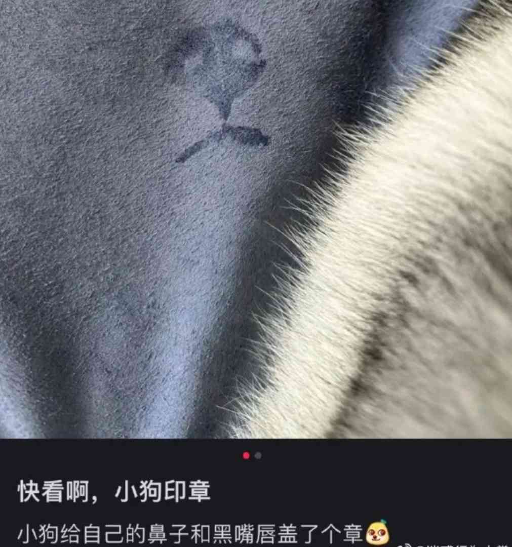 Word文档图片