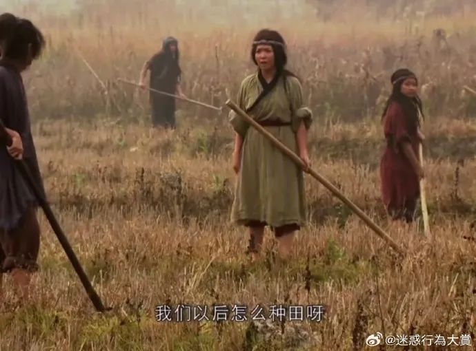 Word文档图片
