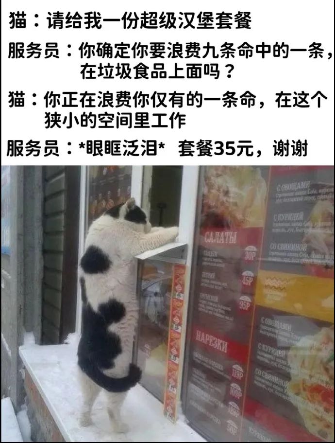 Word文档图片