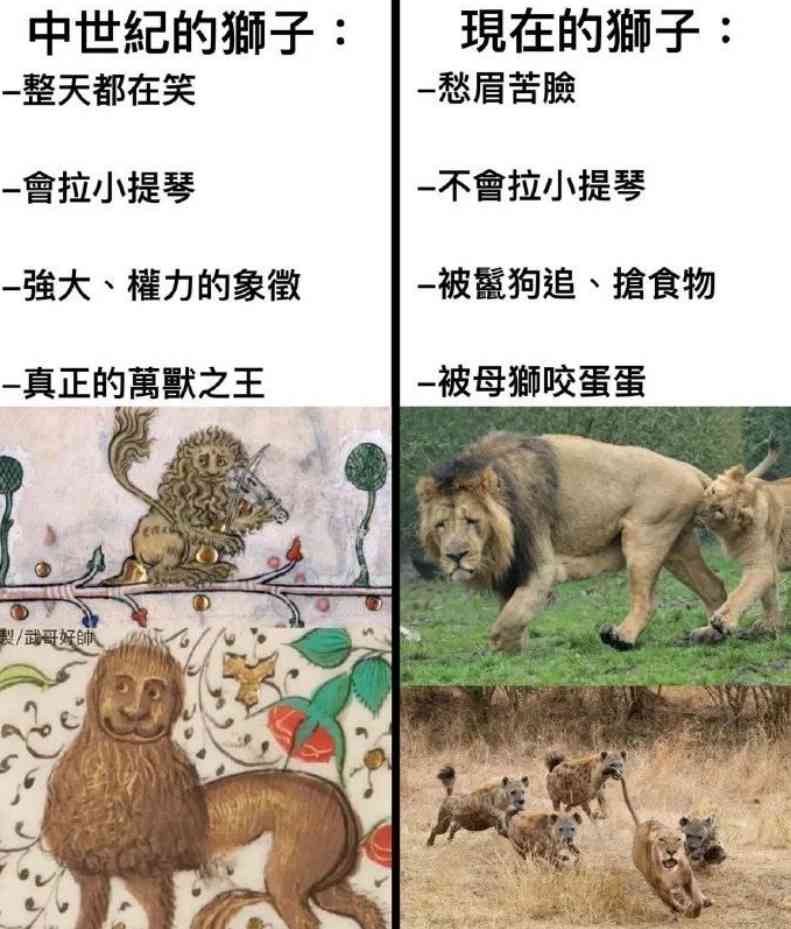 Word文档图片