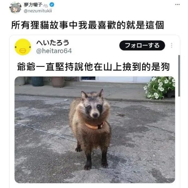 Word文档图片