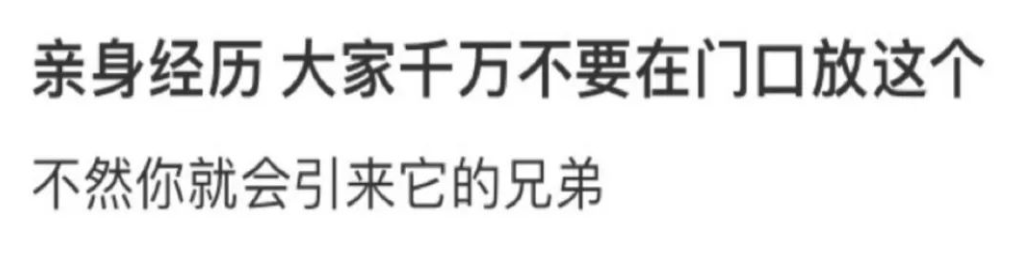 Word文档图片
