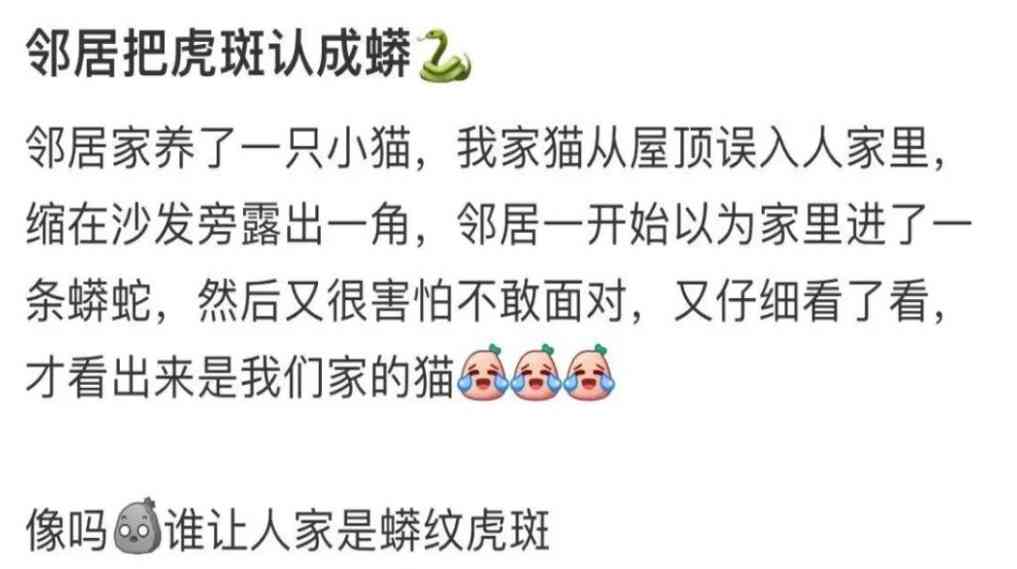 Word文档图片