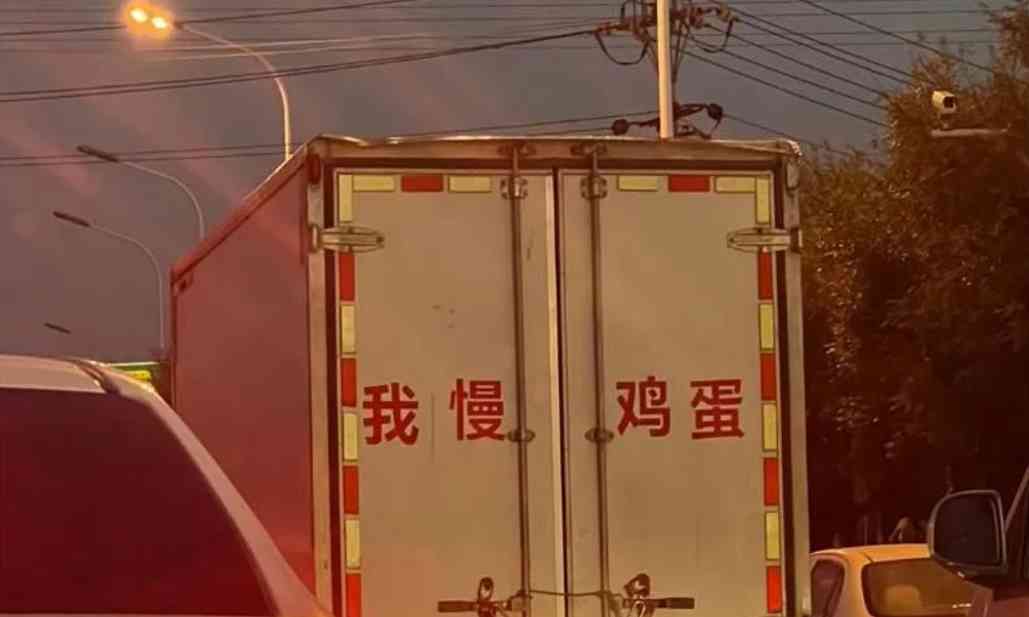 Word文档图片