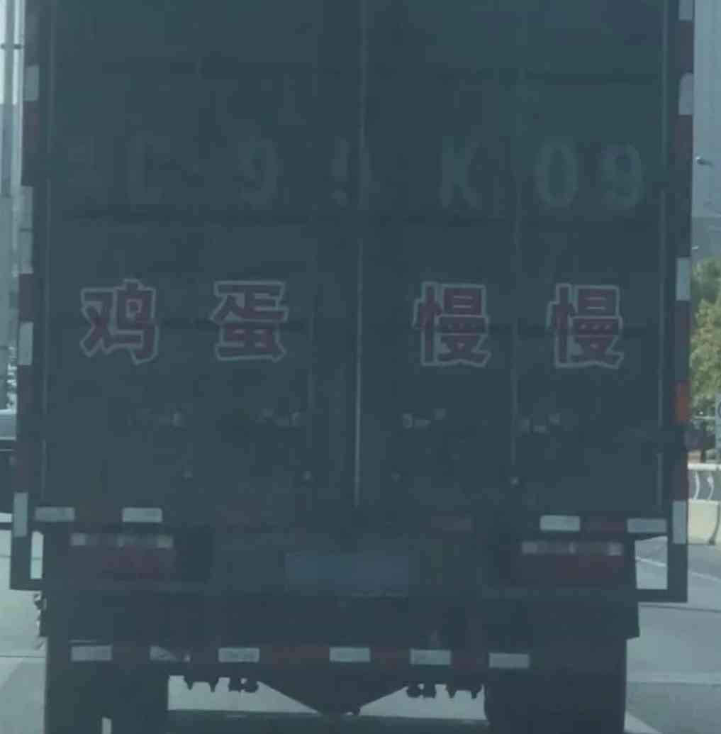 Word文档图片