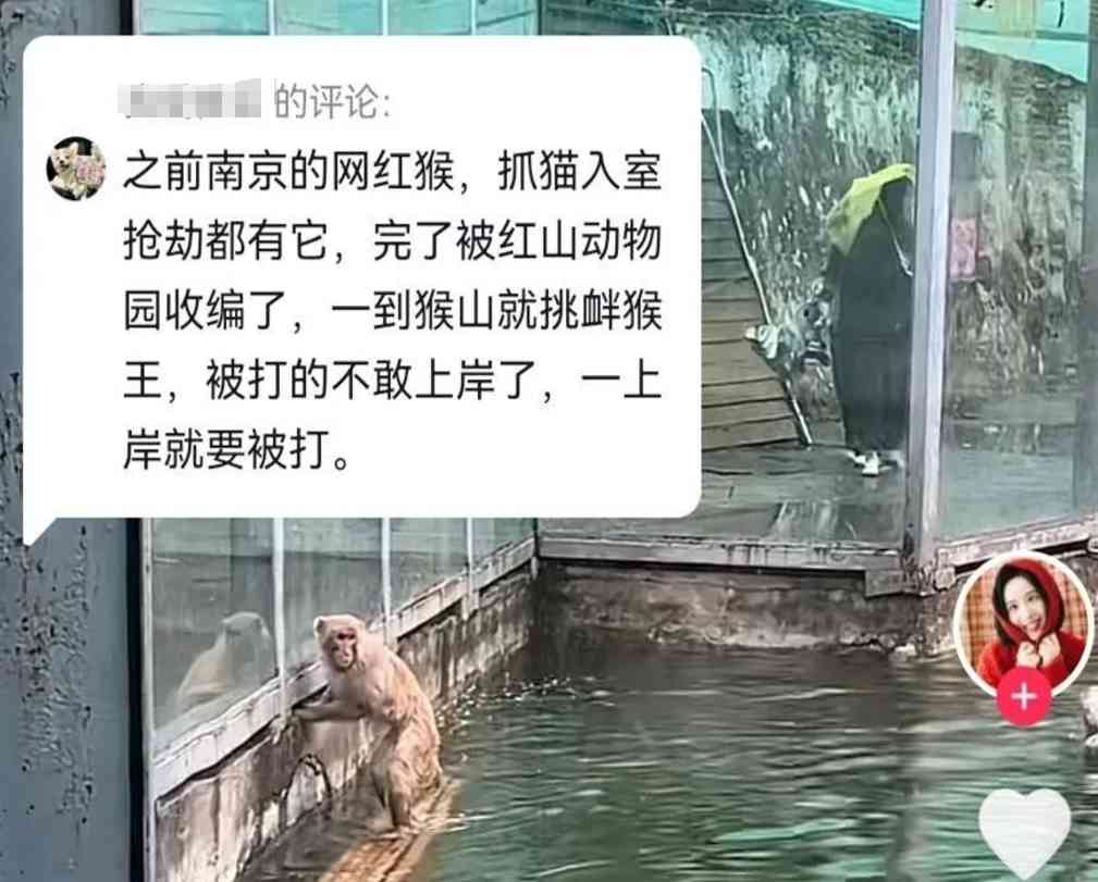 Word文档图片