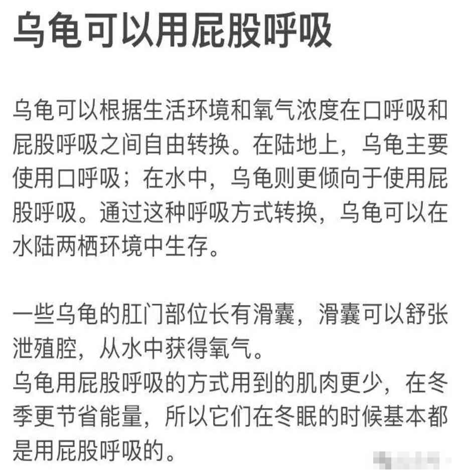 Word文档图片
