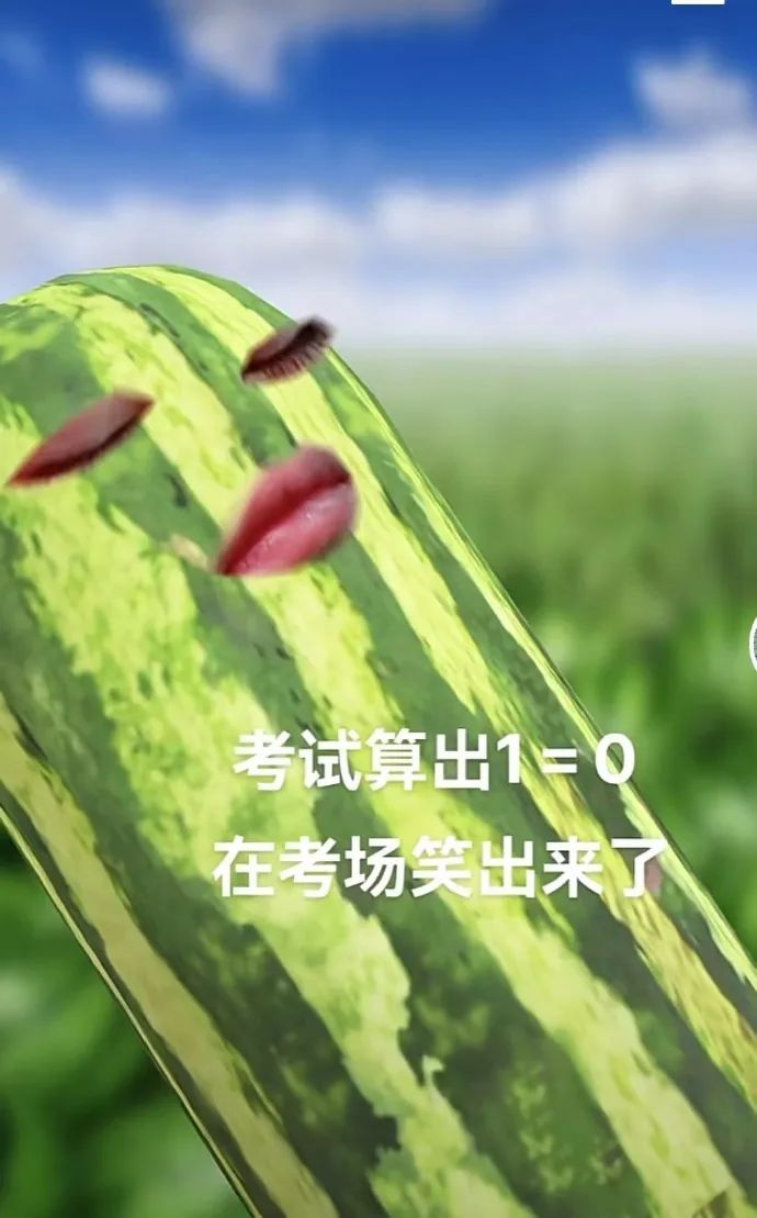 Word文档图片