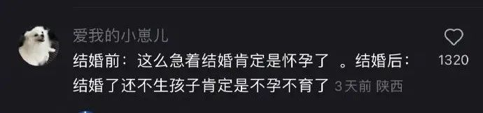Word文档图片
