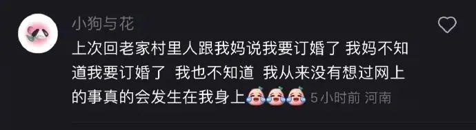 Word文档图片