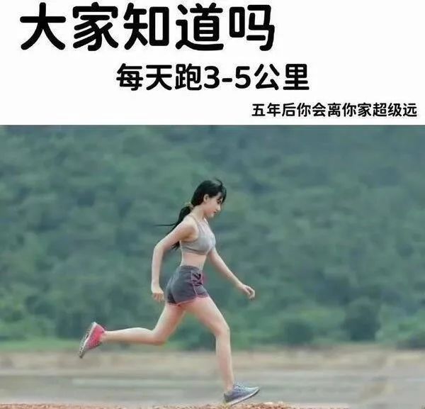 Word文档图片
