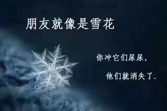 Word文档图片